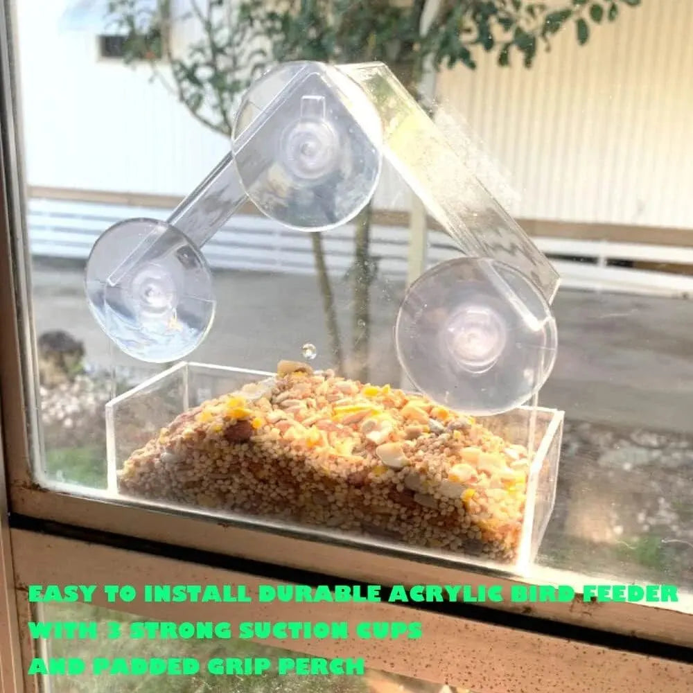 Clear Window Bird Feeder